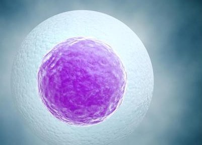 2026厦门市妇幼保健院试管婴儿费用贵吗？