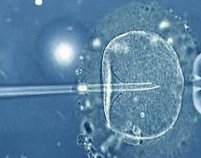 泰国试管婴儿价格明细表和医院成功率详解