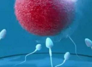 高安上高不孕不育（高安市妇幼保健计划生育服务中心）